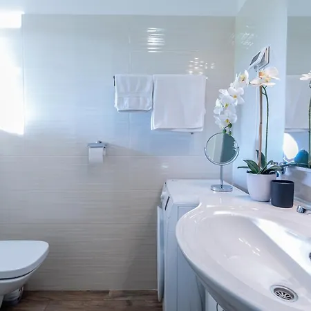 Apartment Apartman Volte Buzet